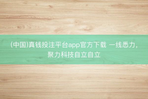 (中国)真钱投注平台app官方下载 一线悉力，聚力科技自立自立
