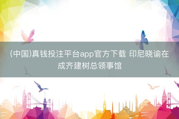 (中国)真钱投注平台app官方下载 印尼晓谕在成齐建树总领事馆