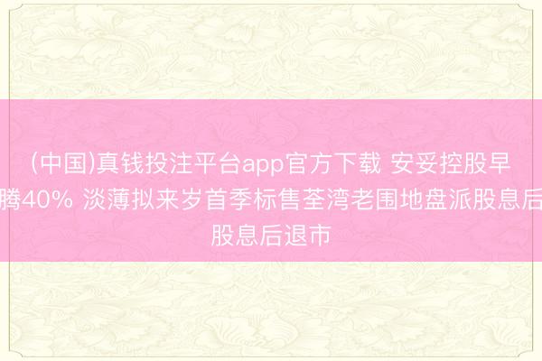 (中国)真钱投注平台app官方下载 安妥控股早盘飞腾40% 淡薄拟来岁首季标售荃湾老围地盘派股息后退市