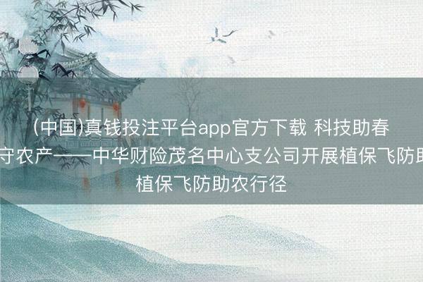 (中国)真钱投注平台app官方下载 科技助春耕 飞防守农产——中华财险茂名中心支公司开展植保飞防助农行径