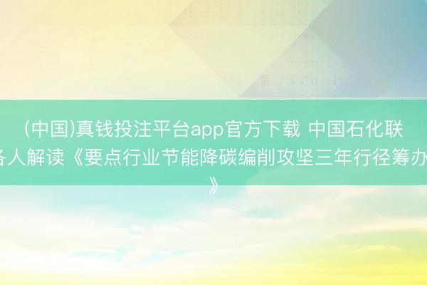 (中国)真钱投注平台app官方下载 中国石化联各人解读《要点行业节能降碳编削攻坚三年行径筹办》
